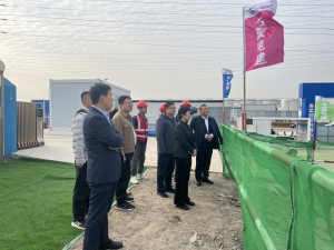 d010e6f12a32ad4adf33636df2bd2ca